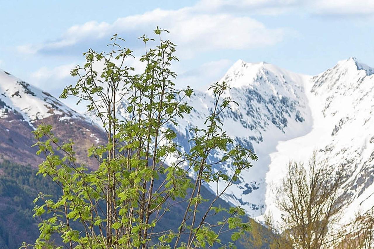 Snowbird Chalet #8 Girdwood Eksteriør bilde